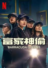 富家神偷 第二季(全集)