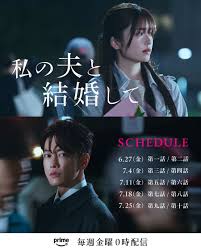 请和我的老公结婚 日版(全集)